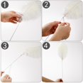 thumbnail image 4 of Kit de plumas de avestruz Holmgren, 56 cm, color beige, 20 unidades, 4 of 6