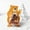 E, variant on EGNMCR 10 Pack Food Card Baking Packaging Bags packaging Baking