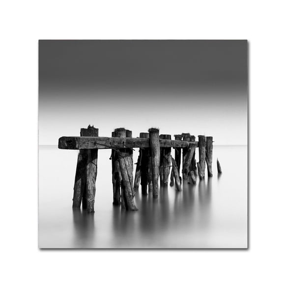 Dave MacVicar 'Weathered' Canvas Wall Art 14 x 14