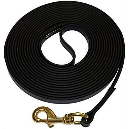 biothane waterproof all weather dog leash with solid brass hardware (5/8  x 15   black)