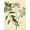 Unframed, variant on Art.com Catesby Bird and Botanical I Art Print by Mark Catesby, 12" x 16"