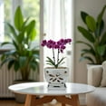 thumbnail image 2 of Orchid Pots with Holes Square Ceramic Orchid Planter Pots 5.5 inch (Gray), 2 of 9