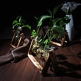 thumbnail image 2 of Florero Con Marco De Madera Vintage, Terrario De Plantas Con Soporte De Madera, Florero De Vidrio, Macetero De Escritorio Para Decoración Del Hogar Y La Oficina, 2 of 8