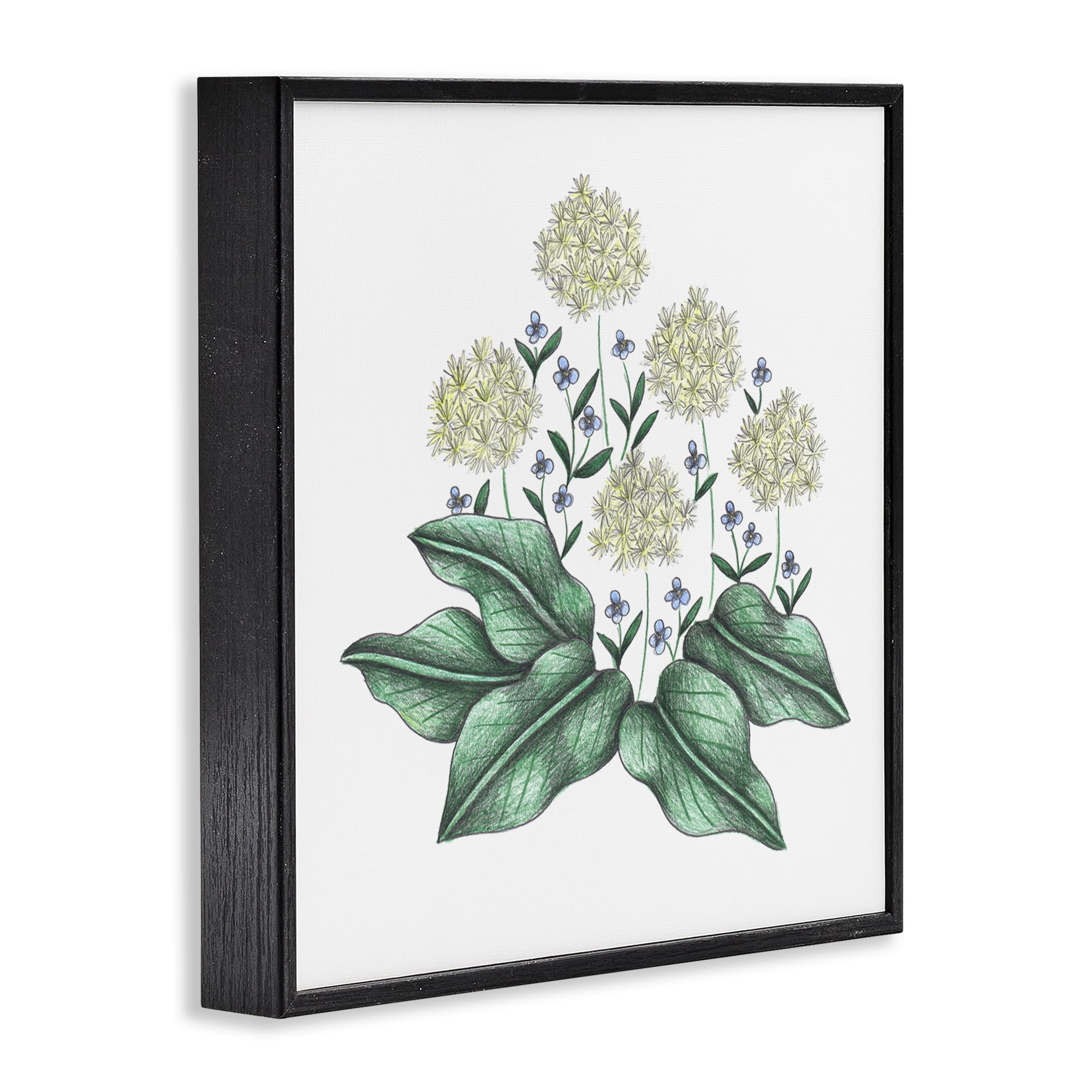 Hello Wildflower Vintage Sketch Black Framed Giclee Art, design by Cecilia Battaini