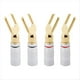 thumbnail image 3 of 10 Conectores Banana Tipo y/U para Cable de Audio de Altavoz, Conector de Tornillo de Bloqueo, Conector de Horquilla y Conector Banana., 3 of 6