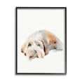 thumbnail image 2 of Stupell Industries Scruffy Dog Laying Down House Pet Painting Design by Jennifer Paxton Parker, 2 of 5
