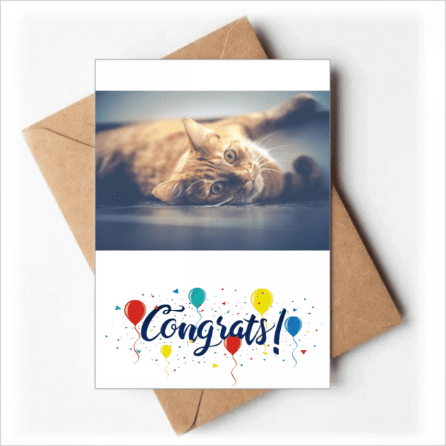 Animaux Jaune Chat Photo Photo Cartes de Mariage Félicitations Enveloppes de Voeux