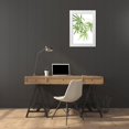 thumbnail image 3 of Murdock, Ramona 17x24 White Modern Wood Framed Museum Art Print Titled - Bamboo Bouquet, 3 of 4