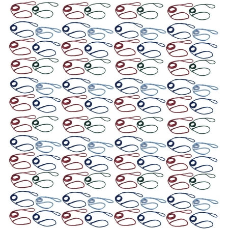 - Braided Poly Dog Control Slip Leads Assorted Color Vet Rescue Kennel Bulk Packs (96 Leads)