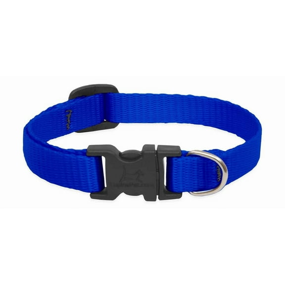 LupinePet Basics 1/2" Blue 6-9" Adjustable Collar for Extra Small Dogs
