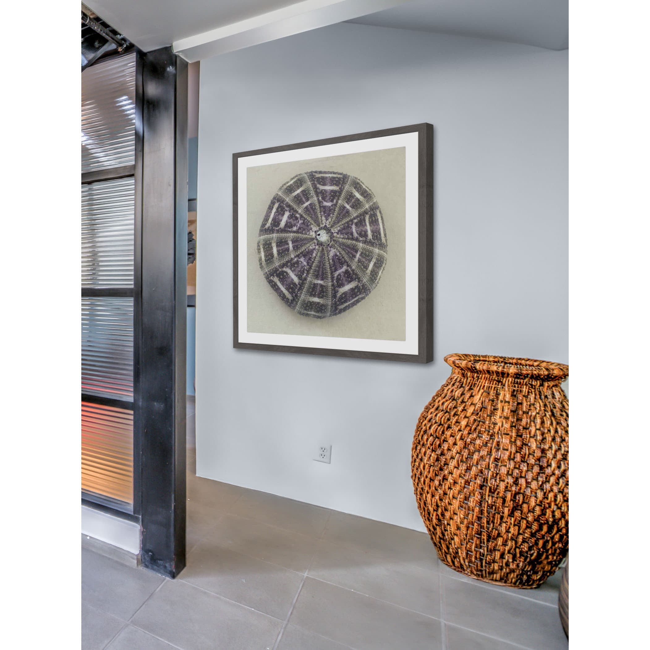 "Sea Urchin Shell" Framed Painting Print