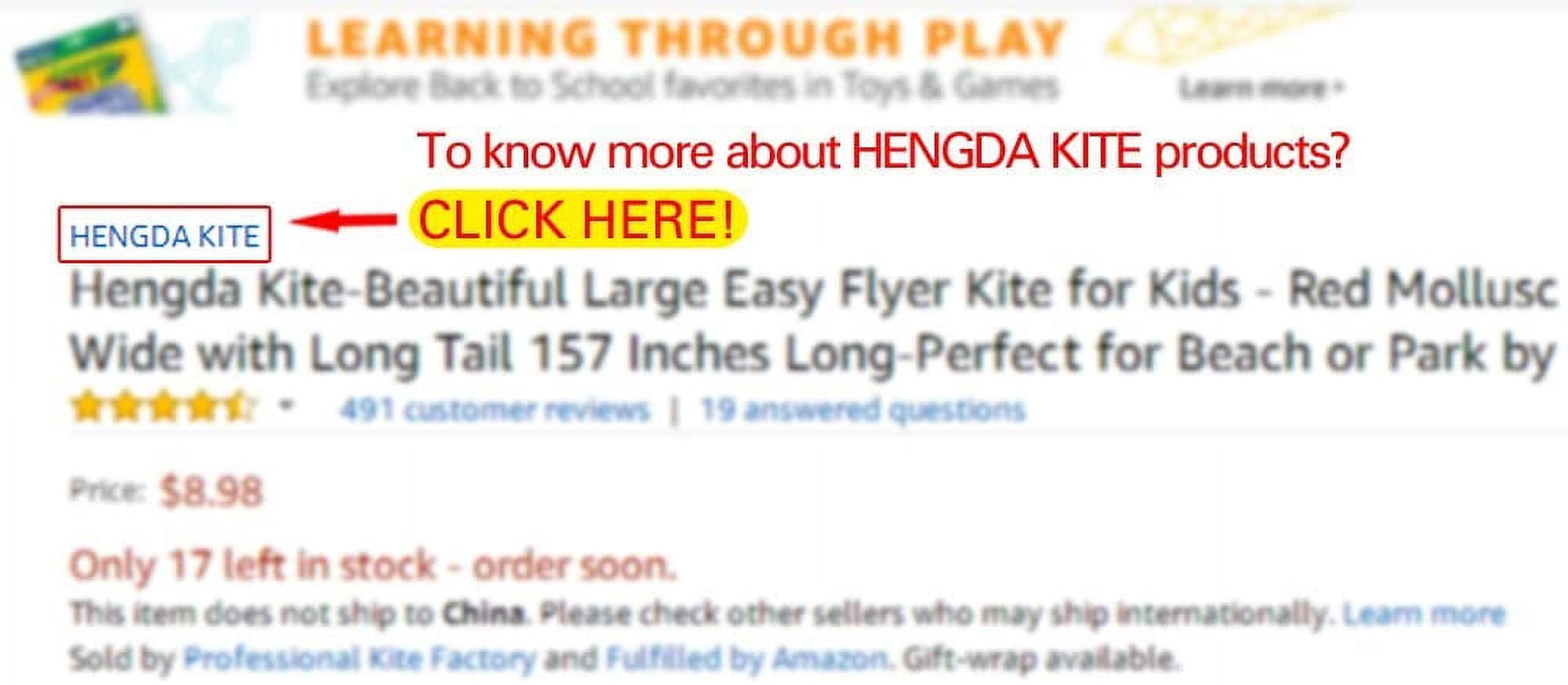 Soft Octopus Kite Series, Beautiful Kite with Long Colorful Tail for Kids and Adults, Easy to Fly Beach Kites, Excellent Outdoor Games and Activity Toys, Suitable for Beginners.