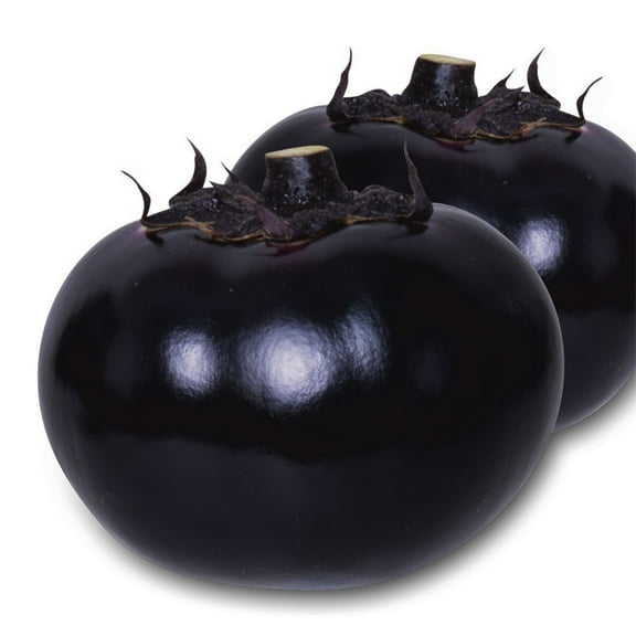 Eggplant Seeds - E- Star - Hybrid - 500 Mg Packet ~105 Seeds - Non-GMO, F1 Hybrid - Asian Garden Vegetable