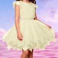 thumbnail image 4 of Kiijoy Girls Layered Tutu Skirt Ballet Dance Performance Party Puffy Tulle Skirt, Sizes One Size, 4 of 4