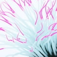 thumbnail image 4 of DOLITY 1 Pce Aquarium Corail Fluorescent Anémone de Mer Artificielle Paysage Rouge, 4 of 9