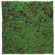 thumbnail image 1 of Felpudo de césped artificial para interiores y exteriores, césped verde multiusos, para entrada, alfombra raspadora, alfombrillas para perros, color verde, 1 of 8