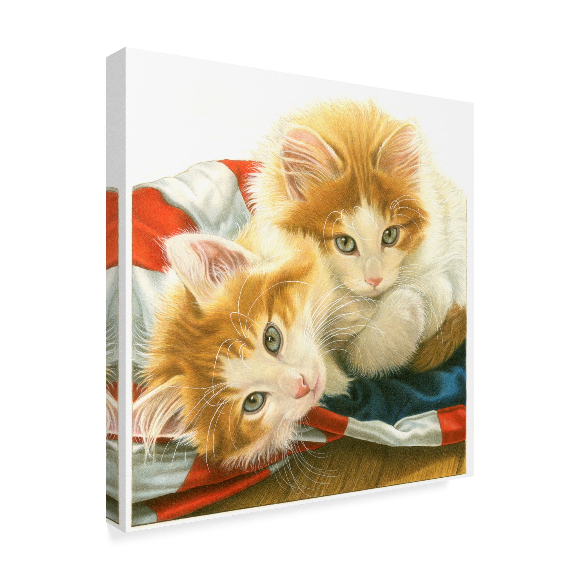 Trademark Fine Art 'Orange Kittens' Canvas Art by Francien Van Westering