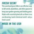 thumbnail image 5 of EcoSmart Natural, Glyphosate-Free Weed and Grass Killer 24 Ounce Ready-to-Use Spray Bottle (Pack of 2), 5 of 7