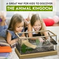 thumbnail image 5 of Turtle Aquarium Kit Series - New - Aquatic Turtle Tank with Filter and Light + Turtle Basking Platform, Small Turtle Tank for Baby & Juvenile Turtle, Perfect Turtle Starter Kit for Kids, 5 of 14