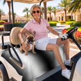 thumbnail image 3 of Golf Cart Seat Covers for 2 Seater,Black White Microfiber Cart Seat Towel Blanket,Gradient Gray Monochrome Minimalist Stripe Absorbent Breathable NonSlip Bench Seats Protector for Golf Course 51"x31", 3 of 9