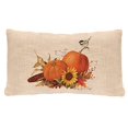 thumbnail image 1 of Heritage Lace Housse de Coussin Naturelle Citrouille Récolte 12 Pouces X 20 Pouces, 1 of 1