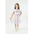 thumbnail image 2 of Disney Frozen Elsa Princess Girls Dress for Toddlers and Big Kids (Girls) Sizes 2T - 12, 2 of 8