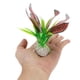 thumbnail image 3 of Plantas de Acuario de Plástico Unique Bargains, Accesorios para Acuarios, Plantas para Decoraciones de Acuarios Rojas, 3 of 6
