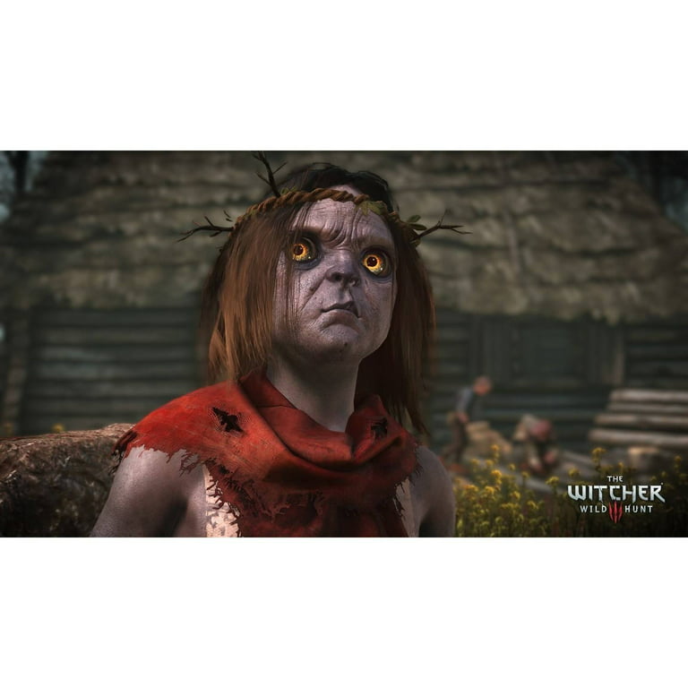gåde Selvforkælelse elektrode Warner Bros. The Witcher 3: Wild Hunt Video Games - PlayStation 4 -  Walmart.com