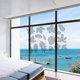 thumbnail image 3 of Transparent window decals protect wild birds from impacts, bird safety., 3 of 5