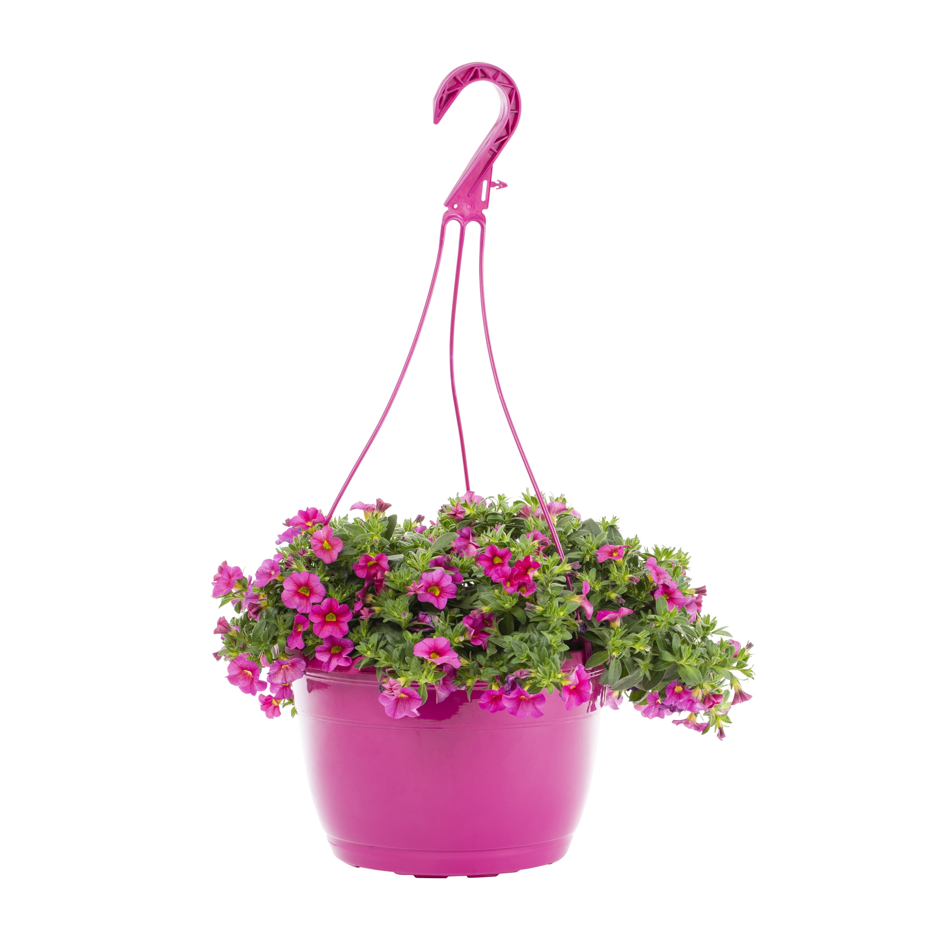 Expert Gardener 1.5 Gallon Pink Calibrachoa Annual Live Plant 1Count