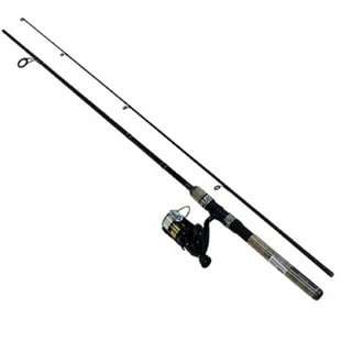 DAIWA Fishing Rod Set