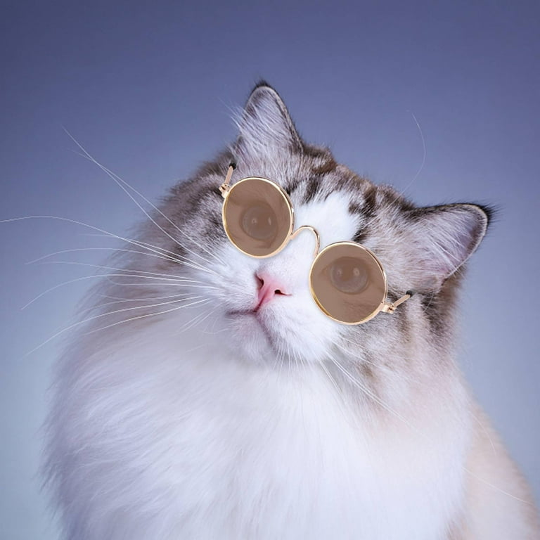 Wovilon Fashion Dog Cats Pet Glasses Creative Trend Photo Taking Round Frame Small Sunglasses Toy Doll Retro Sunglasses