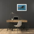 thumbnail image 3 of Archer, Ken 32x23 White Modern Wood Framed Museum Art Print Titled - Common Loon, 3 of 4