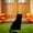B-1B-clearacne, variant on Dyegold Halloween Iron Art Garden Cat Stake Metal Yard Signs 15 Inch for Outdoor Lawn Garden Pathway Spooky Decor Display