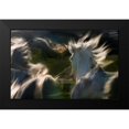 thumbnail image 2 of Malovrh, Milan 14x10 Black Modern Framed Museum Art Print Titled - Esata Equina, 2 of 5