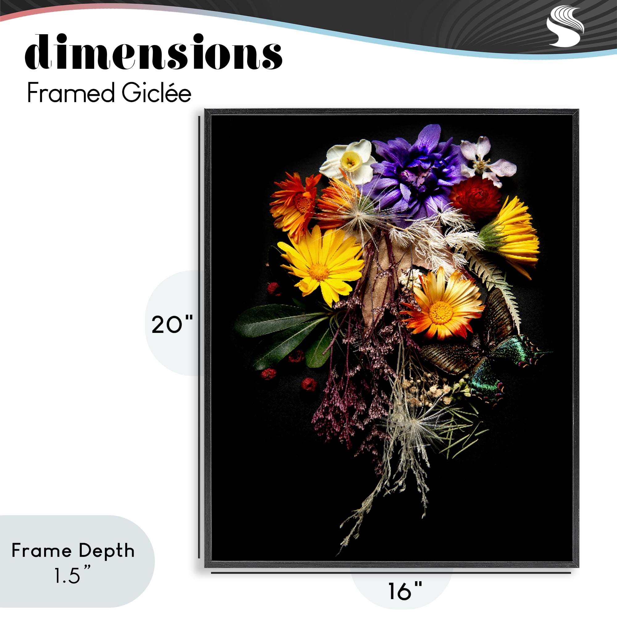 Stupell Industries Butterfly Adorned Arrangement Black Framed Giclee Art, design by Carl Kravats