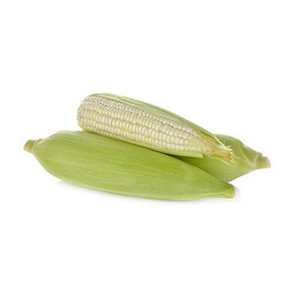 Corn Country Gentleman White Great Heirloom Vegetable by Seed Kingdom Bulk 1/4 Lb Seeds