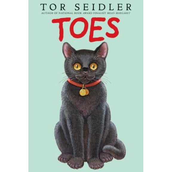 Pre-Owned Toes (Paperback) 0060541016 9780060541019