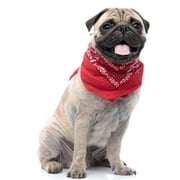 Balec Red Bandanas by Dozen 12 Pack for Women and Men (Paisley Cotton Triangle)