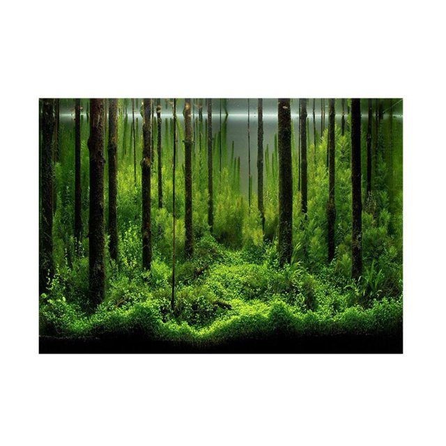 Noref Fish Tank Background Paper, Aquarium Poster, PVC Adhesive Underwater Forest Tank Background Poster Backdrop Decoration Paper