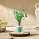 thumbnail image 4 of Set de difusores Reed Airkeep Pure Gardenia, 100 ml, con 8 barras, 4 of 7