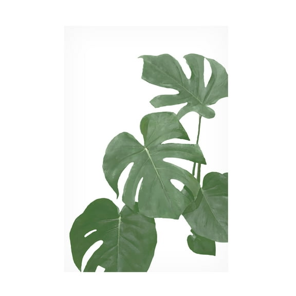 Canvas Wall Art - Pictufy Studio Ii 'Monstera Aqua 03' Wall Art for Living Room, Bedroom, or Office Décor by Trademark Fine Art - 12 x 19 Inches