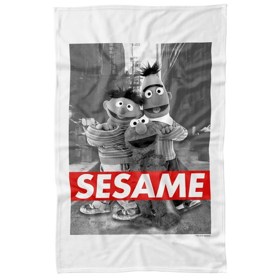 Sesame Street Sesame Officially Licensed Fleece Blanket 36' x 58'