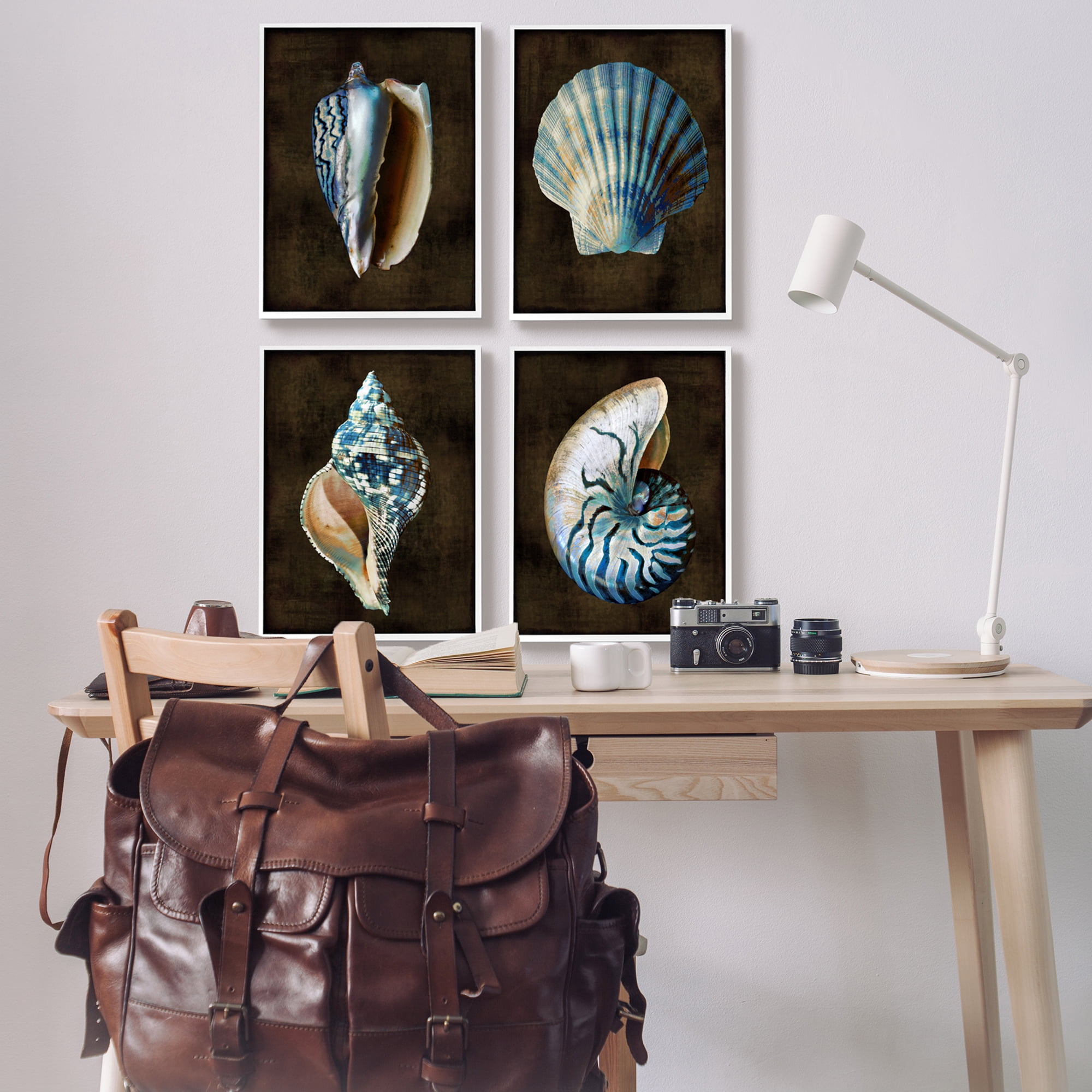 Stupell Industries Dark Maritime Seashells Animals & Insects Painting White Framed Art Print Wall Art, 16 x 20, Set of 4