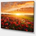 thumbnail image 1 of Designart - Beautiful Poppy Field at Sunset - Abstract Wall Art Canvas, 1 of 1