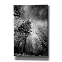 Epic Graffiti 'Cold Vision' by Philippe Sainte-Laudy, Canvas Wall Art, 12"x18"