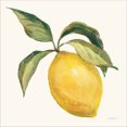 thumbnail image 2 of Great Art Now Le Citron on Cream by Silvia Vassileva, Framed Wall Art, 13.25W x 13.25H, 2 of 3