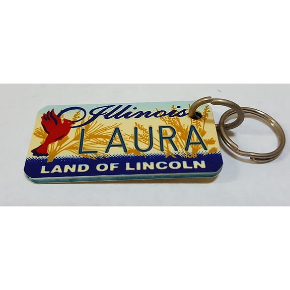 Illinois Land of Lincoln Laura Keychain Key Holder Key Ring New
