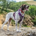 thumbnail image 6 of Kurgo Journey Air Dog Harness, Reflective, Padded, No Pull Front Clip and Control Handle, Purple, M, 6 of 9