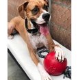 thumbnail image 4 of CHUANK Romp-n-Roll Rope and Ball Dog Toy 6 Inches/Medium Red, 4 of 4
